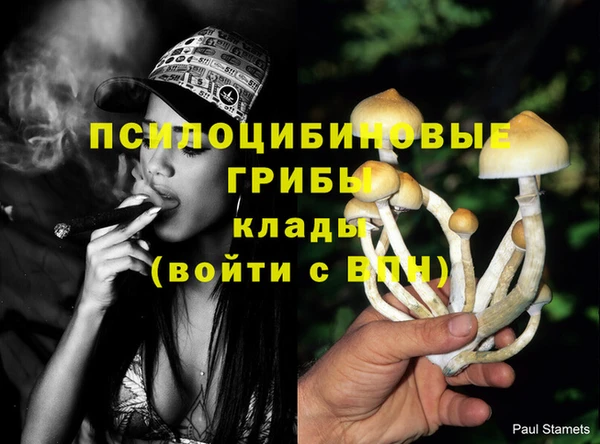 apvp Абаза
